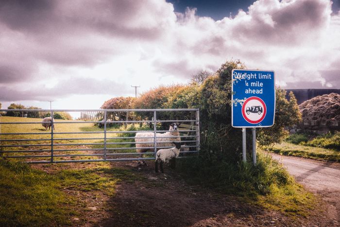 Haydon Bridge photograph 12