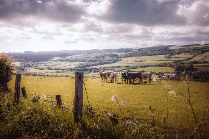 Haydon Bridge photograph 17