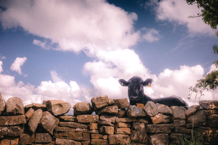 Haydon Bridge photograph 3