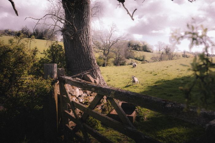 Haydon Bridge photograph 4